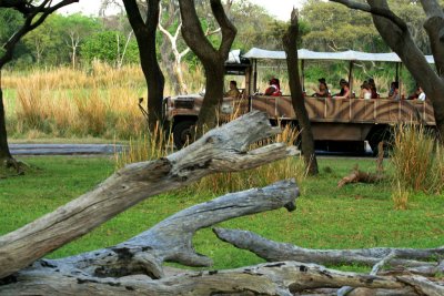 Kilimanjaro Safari