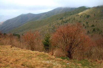 Smoky Mountains-North Carolina