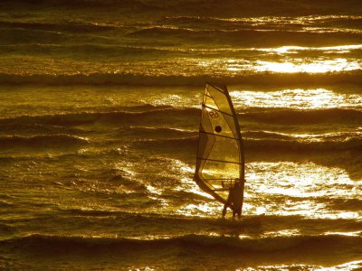 Windsurfing over golden water