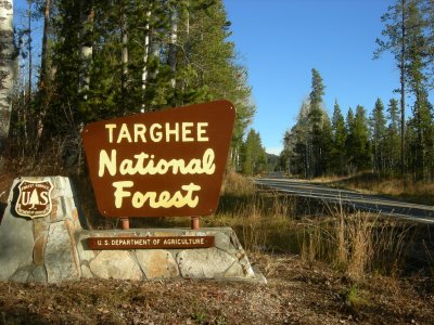 Targhee National Forest