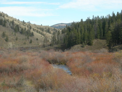 Between Swan Valley  and Victor