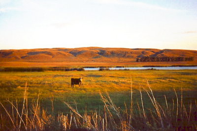 Typical sandhills lake