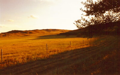 On the Sandoz ranch