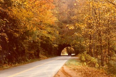 Great Smoky Mountain National Park#1