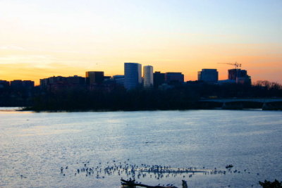 Potomac River at Sunset with Roslyn Skyline in the Background