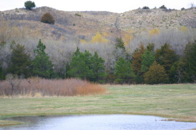 Near Merrit Reservoir