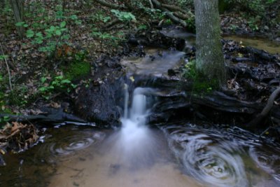 Calvert Cliffs State Park