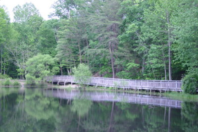 Calvert Cliffs State Park