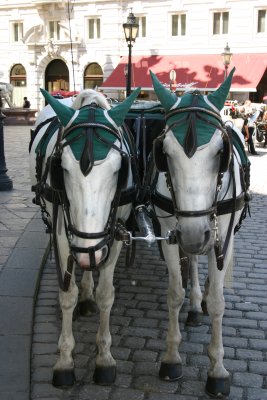 IMG_7280.JPG