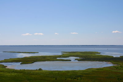 Looking Northwest from the Currituck Beach Lighthouse