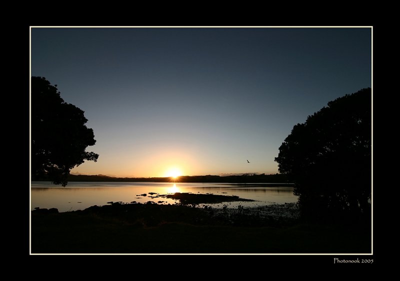 Manganui
