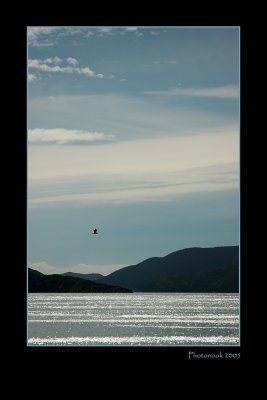 Queen Charlotte Sound