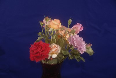 g6/32/671332/3/80798357.PlFEDmaZ.jpg
