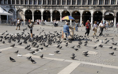 _HEN0336 copy.jpg