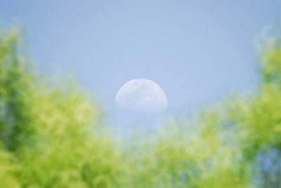 moonrise BRD7486.jpg