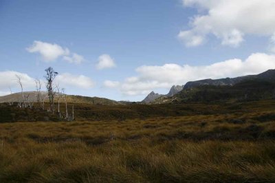 Cradle Mountain 20