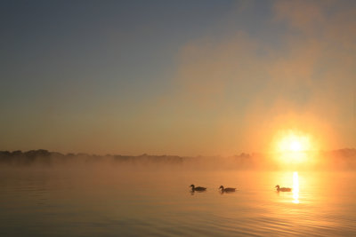 _MG_9437.jpg