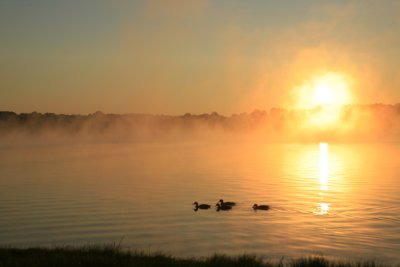 _MG_9443.jpg