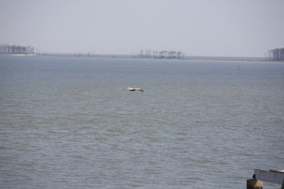 Biloxi Mission Trip 2007-371.jpg