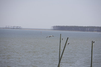 Biloxi Mission Trip 2007-372.jpg