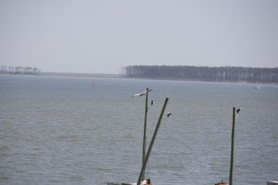 Biloxi Mission Trip 2007-373.jpg