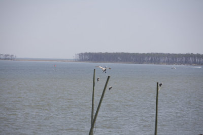 Biloxi Mission Trip 2007-374.jpg