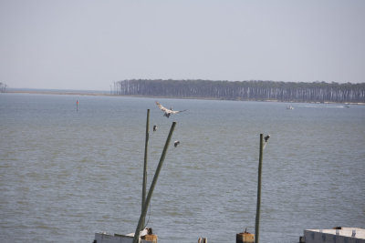 Biloxi Mission Trip 2007-375.jpg