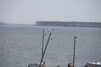 Biloxi Mission Trip 2007-376.jpg