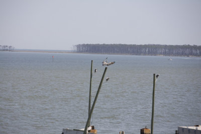 Biloxi Mission Trip 2007-377.jpg