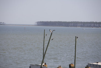 Biloxi Mission Trip 2007-378.jpg
