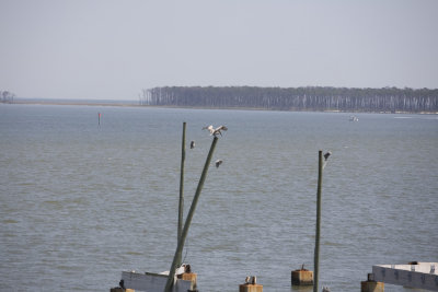 Biloxi Mission Trip 2007-379.jpg