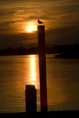 Biloxi Mission Trip 2007-415.jpg