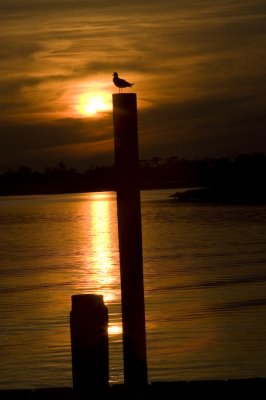 Biloxi Mission Trip 2007-416.jpg