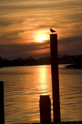 Biloxi Mission Trip 2007-419.jpg