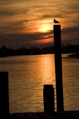 Biloxi Mission Trip 2007-424.jpg
