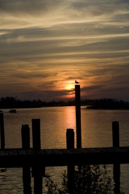 Biloxi Mission Trip 2007-426.jpg