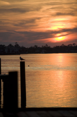 Biloxi Mission Trip 2007-437.jpg