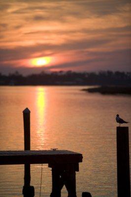Biloxi Mission Trip 2007-447.jpg