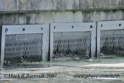 Bartosik_Water-spill overflow screens 9437HP c800.jpg
