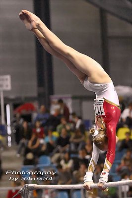 2007 Gymnastic  world
