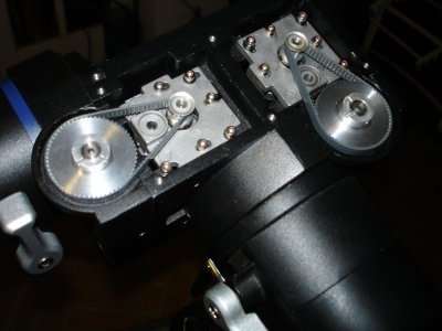 DSC02433.jpg
