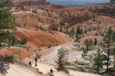 Trail in bryce canyon nat. park