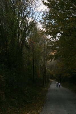 Ridley Creek Park