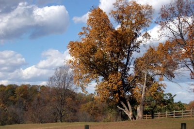 Ridley Creek Park