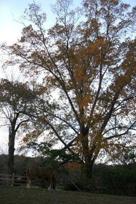 Ridley Creek Park