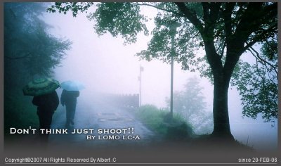 lomo_top.jpg