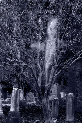 ghostly-graveyard.jpg