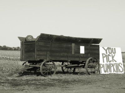 Pumpkin wagon.