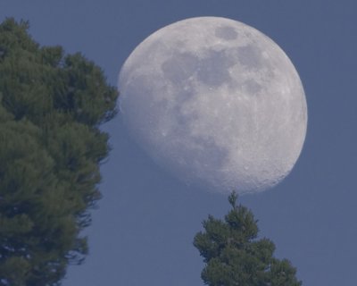 Dec.  30:  Moon rise with long lens