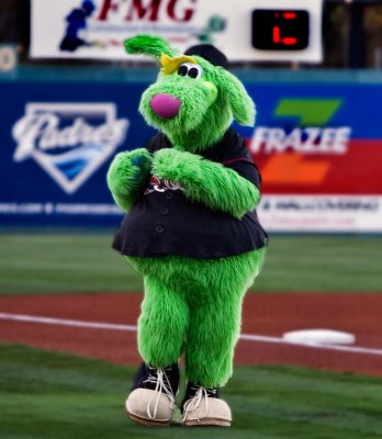 Team Mascot